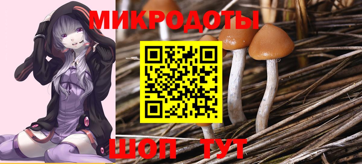 Псилоцибиновые грибы прущие грибы  Вход с VPN  Прокопьевск 