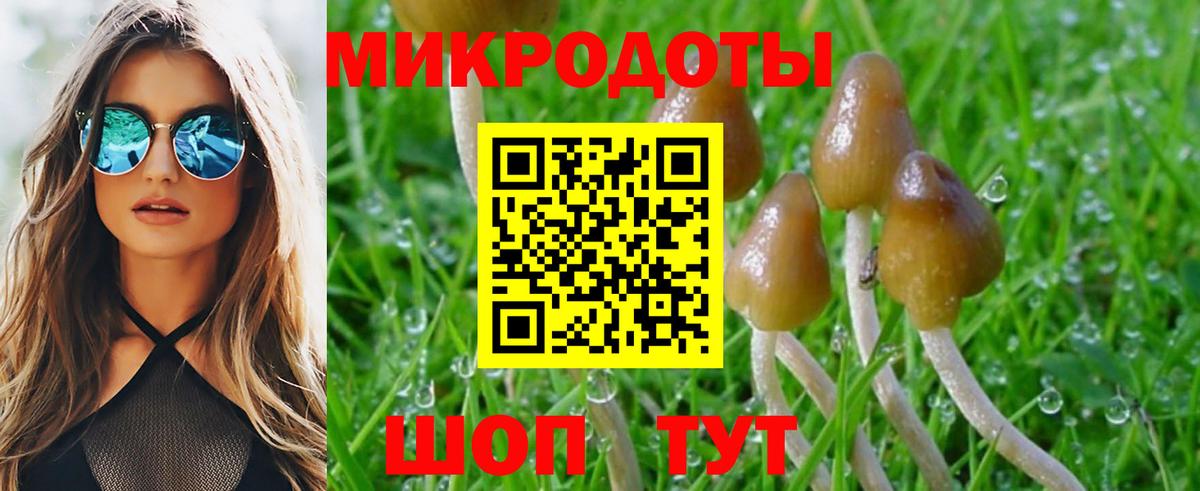 Галлюциногенные грибы MAGIC MUSHROOMS Прокопьевск